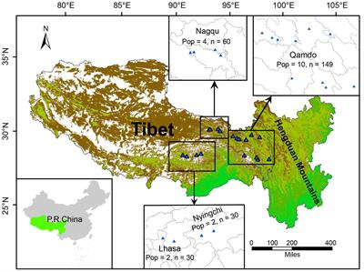 Drivers of population divergence and genetic variation in Elymus breviaristatus (Keng) Keng f. (Poaceae: Triticeae), an endemic perennial herb of the Qinghai-Tibet plateau